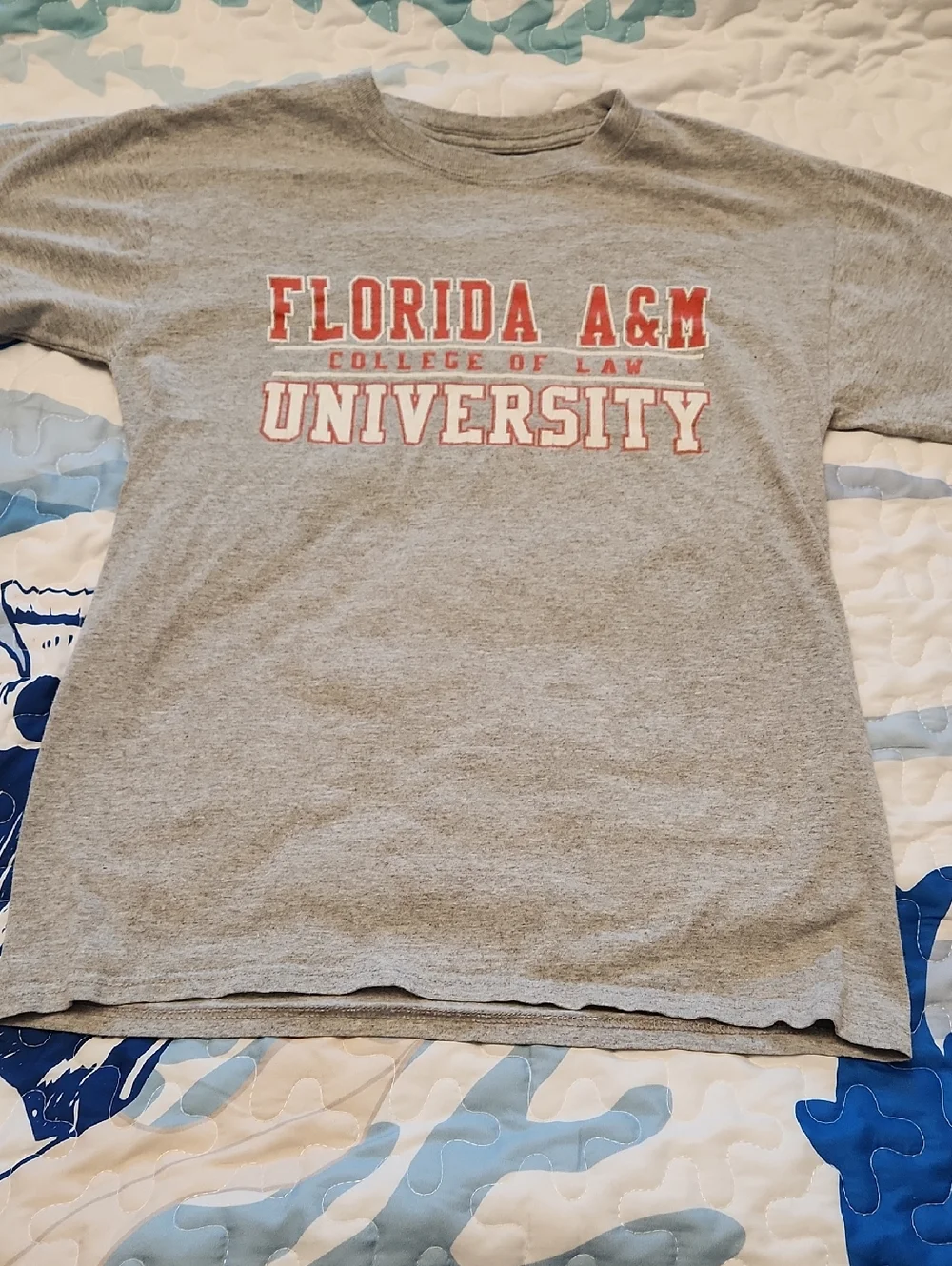 Champion Gray Short Sleeve Tee with Red & White Florida A&M University Print - Picture 1 of 6